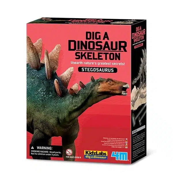 Kidzlabs de 4 m fouillant un stégosaure