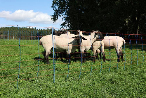 Ako mouton nettitan premium 90cmx50m double enclos bleu-orange