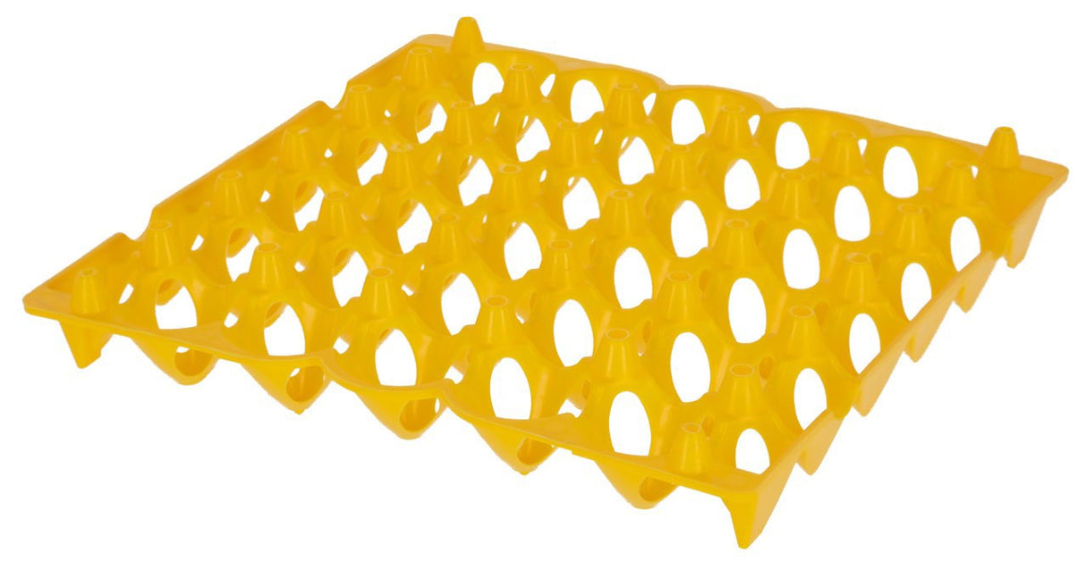 Porte-œufs en plastique pour 30 œufs