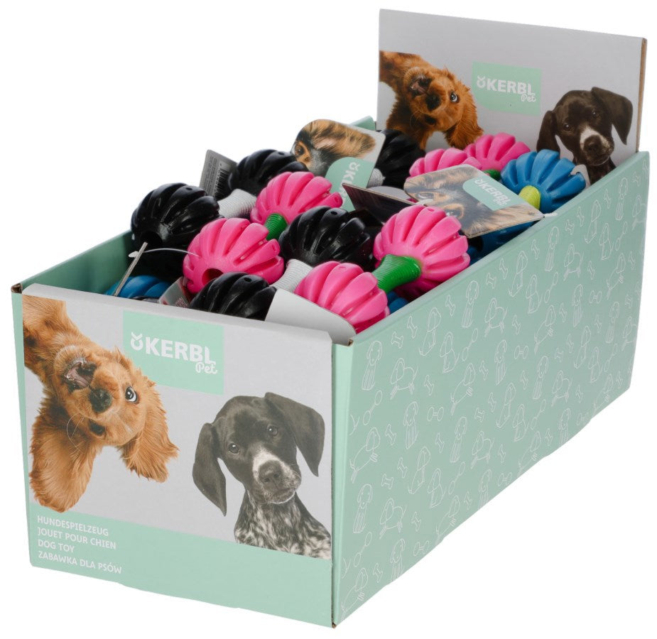 Haltère jouet pour chien