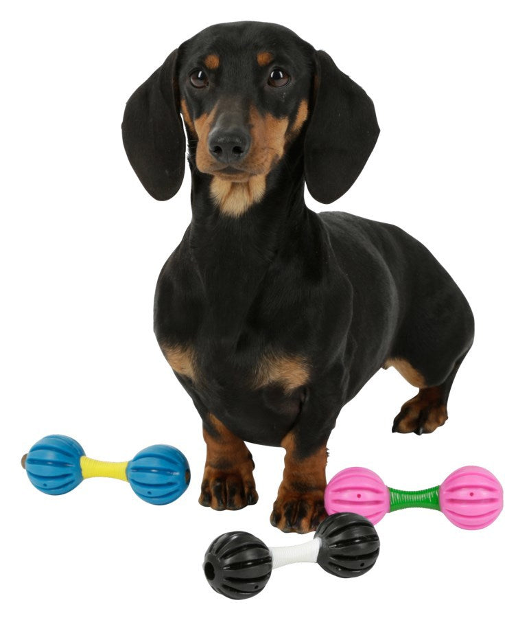 Haltère jouet pour chien