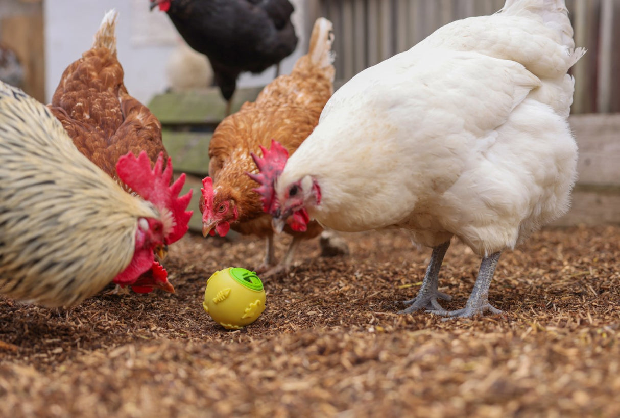 Balle snack pour poules %c3%b8 75 cm jaune