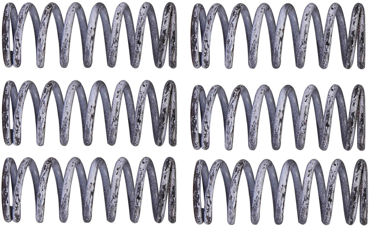 TRW jeu de ressorts d'embrayage kit de ressorts d'embrayage mef305-6