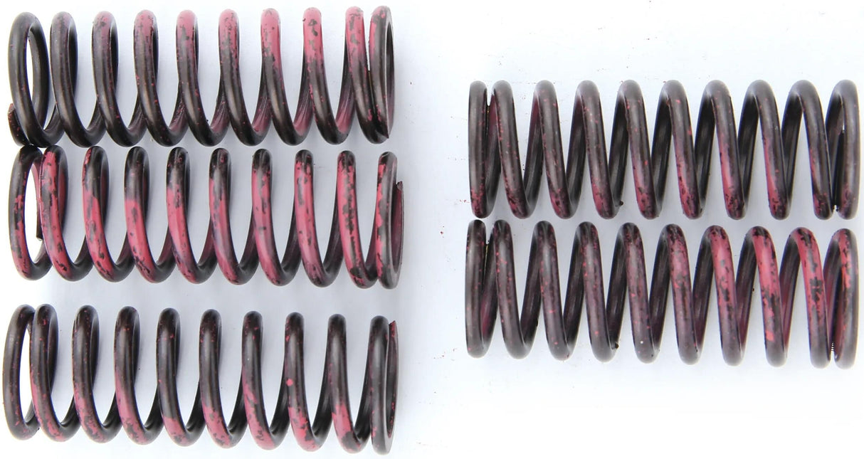 TRW jeu de ressorts d'embrayage kit de ressorts d'embrayage mef315-5