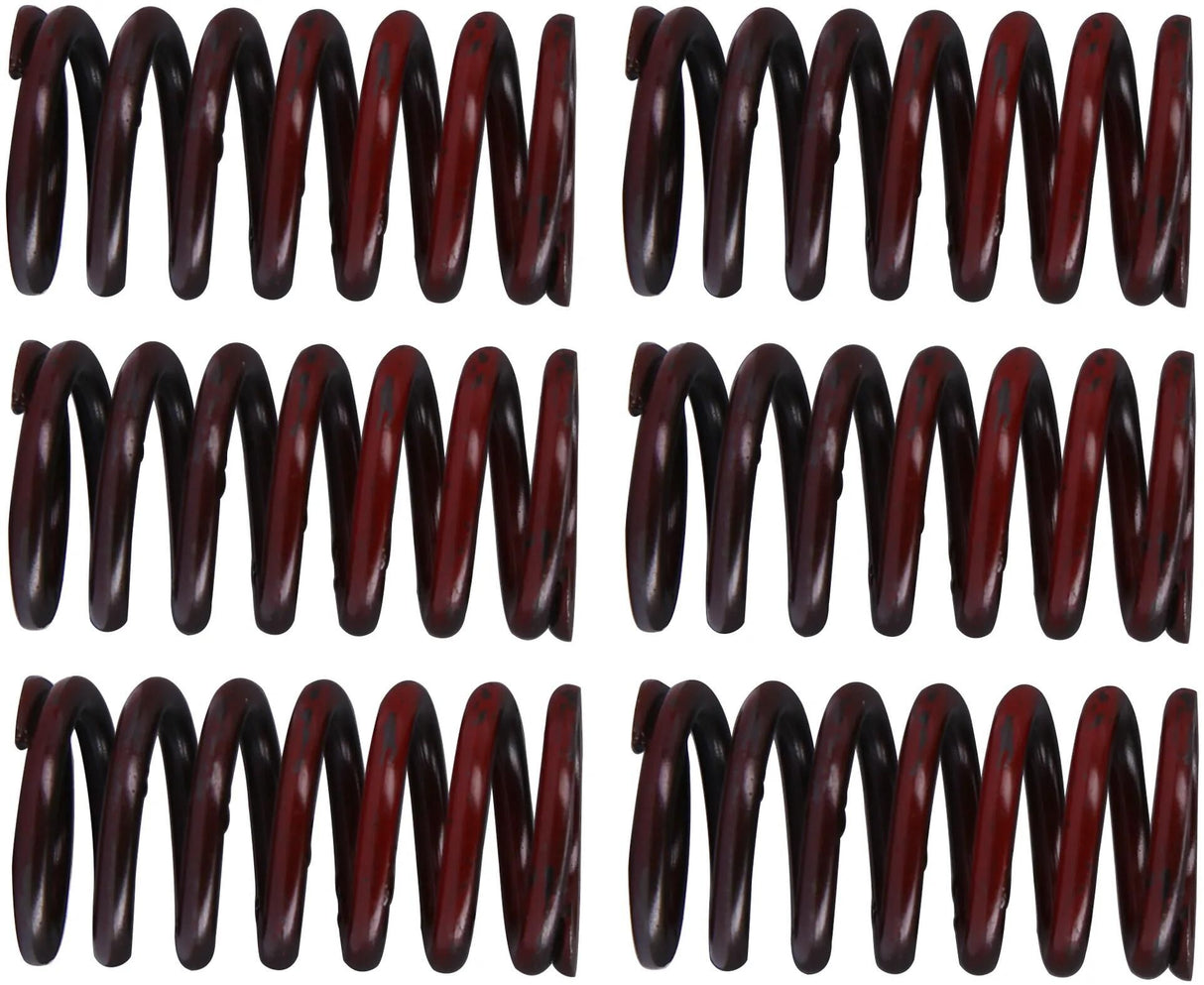 TRW jeu de ressorts d'embrayage kit de ressorts d'embrayage mef317-6