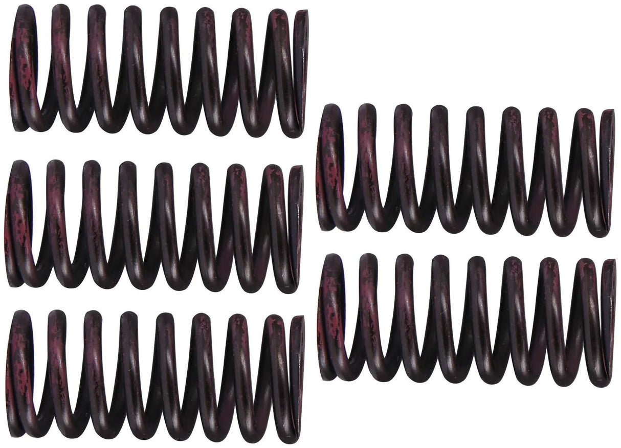 TRW jeu de ressorts d'embrayage kit de ressorts d'embrayage mef316-5