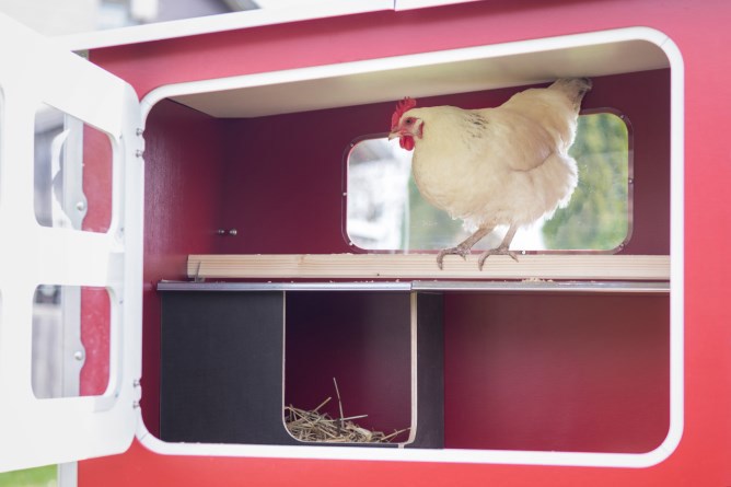 Poulailler en bois Abi mobilecoop