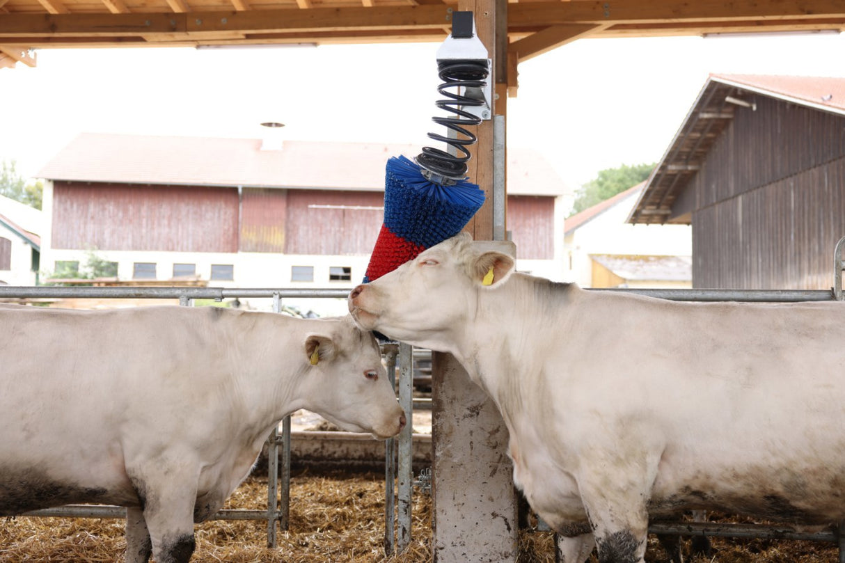 Brosse à bovins Happycow flexiswing