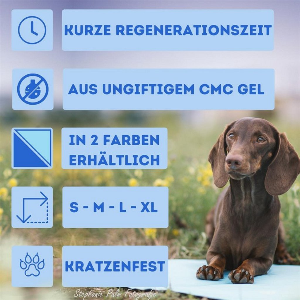 Nosli Nosli Tapis rafraîchissant auto-refroidissant pour chiens et chats 50 x 90 cm Bleu glacier