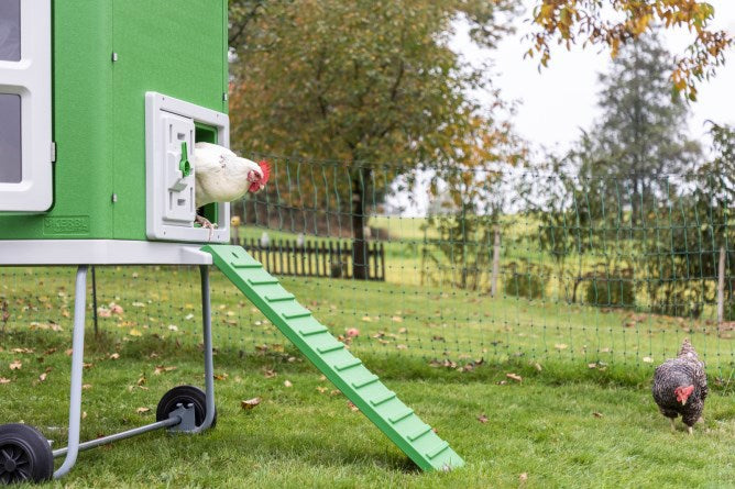 Poulailler en plastique Abi mobilecoop