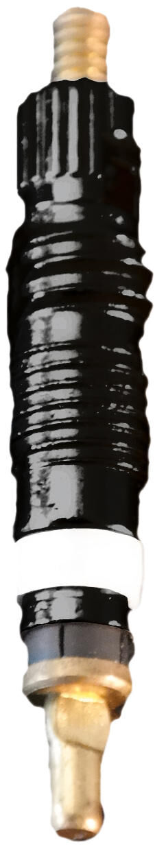 Noyau de valve Schwalbe pour valve SV Sclaverand