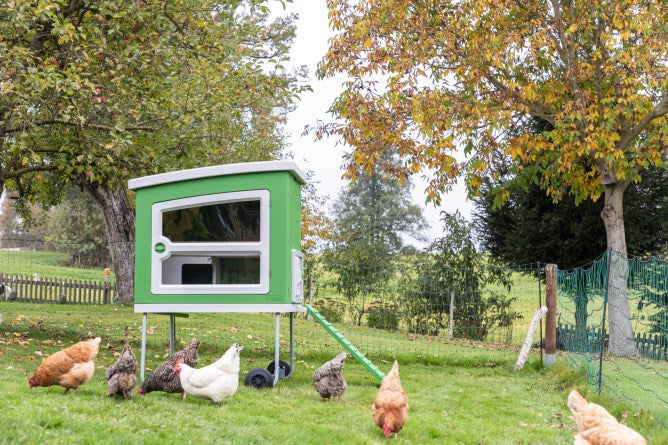 Poulailler en plastique Abi mobilecoop