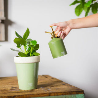 Pulvérisateur de plantes design Esschert dans les tons verts assortis