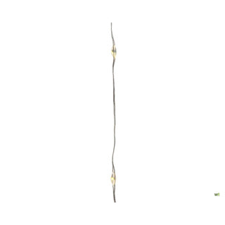 Fil d'argent Lumineo blanc chaud; 295cm | 60 pièces