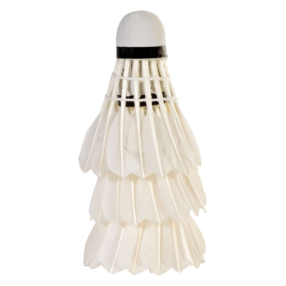 Faits de navette Sportx blanc dans le tube, 3e.