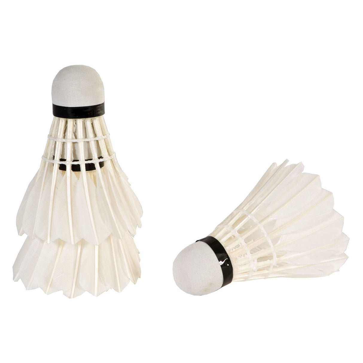 Faits de navette Sportx blanc dans le tube, 3e.
