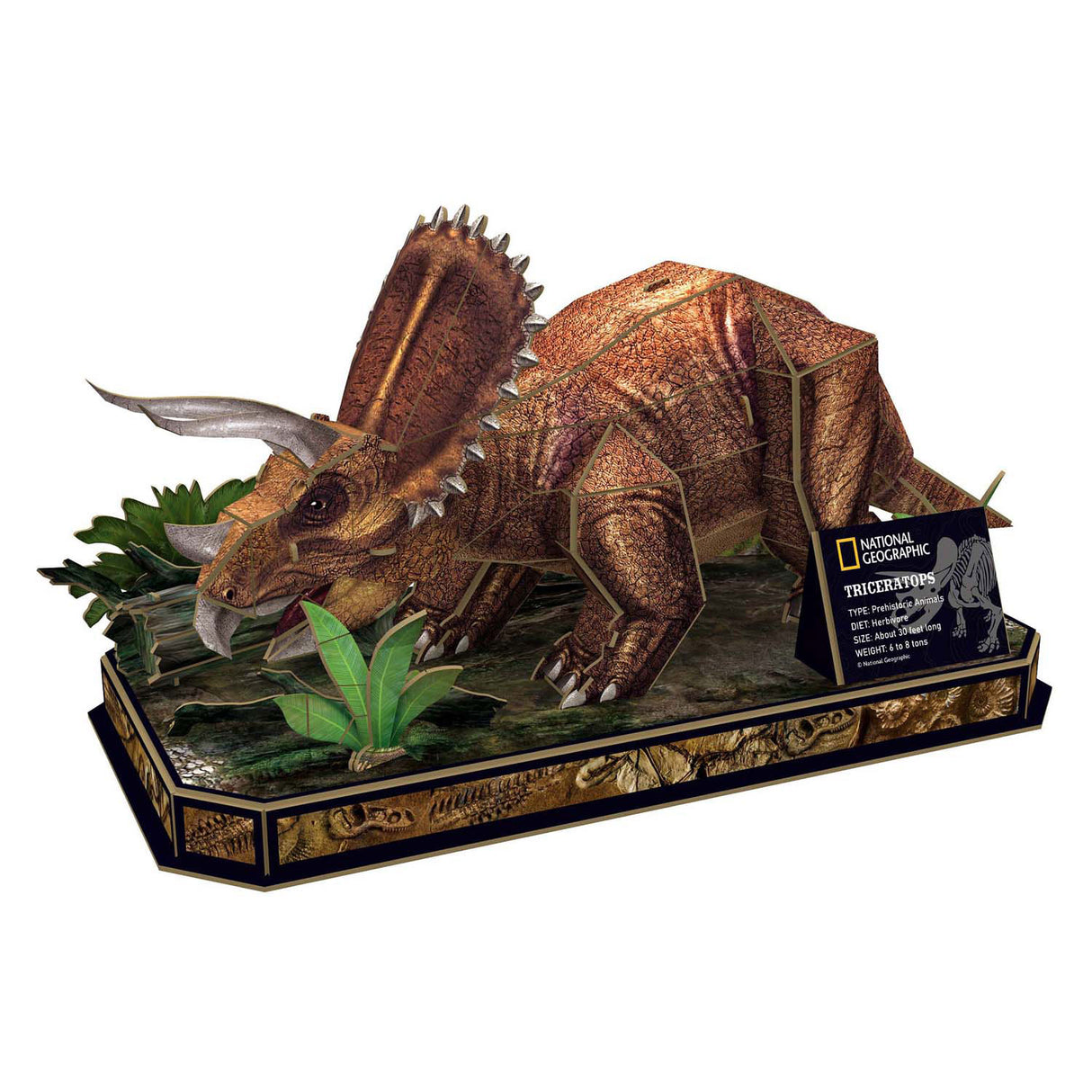 Puzzle 3D amusant et cubique, tricératops géographique national