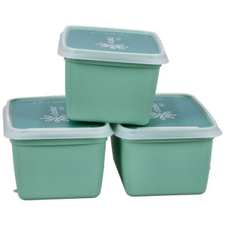 Dbp alaska boîtes de congélation rectangulaires 1l 3 pièces vert menthe
