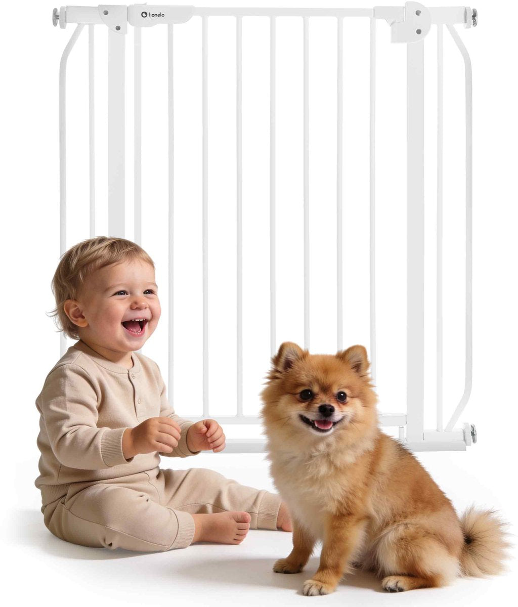 Barrière d'escalier de sécurité Lionelo - 75 à 105 cm pour escalier et porte - seuil bas - fermeture automatique - ouverture des deux côtés - barrière pour chien - barrière d'escalier - barrière de sécurité - barrière enfant