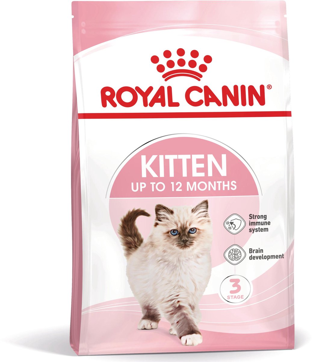 Chaton de canin canin royal canin
