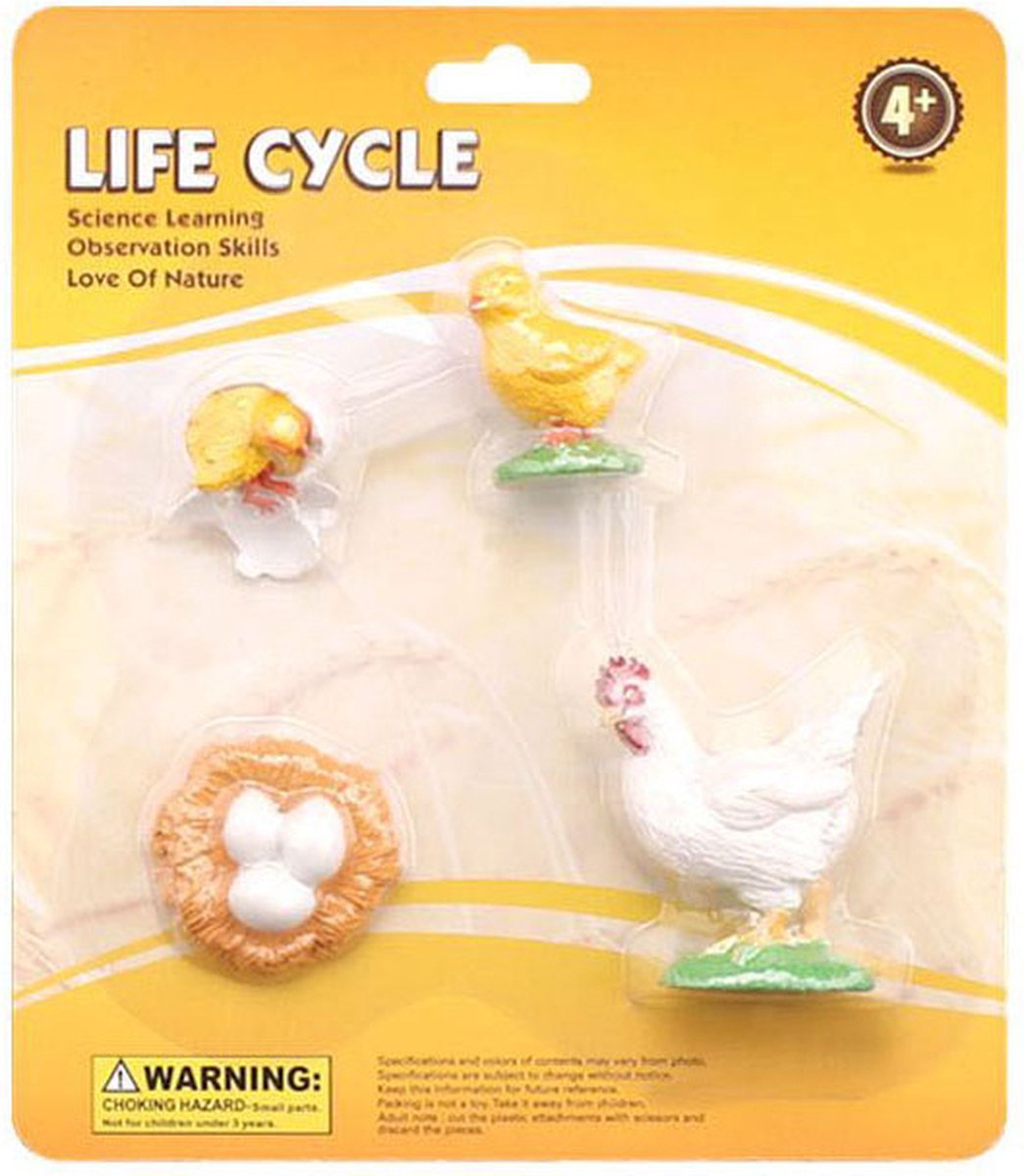 Cycle de vie cycplus haan play saut
