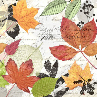 Serviettes Duni herbier 33x33cm | 12 pièces