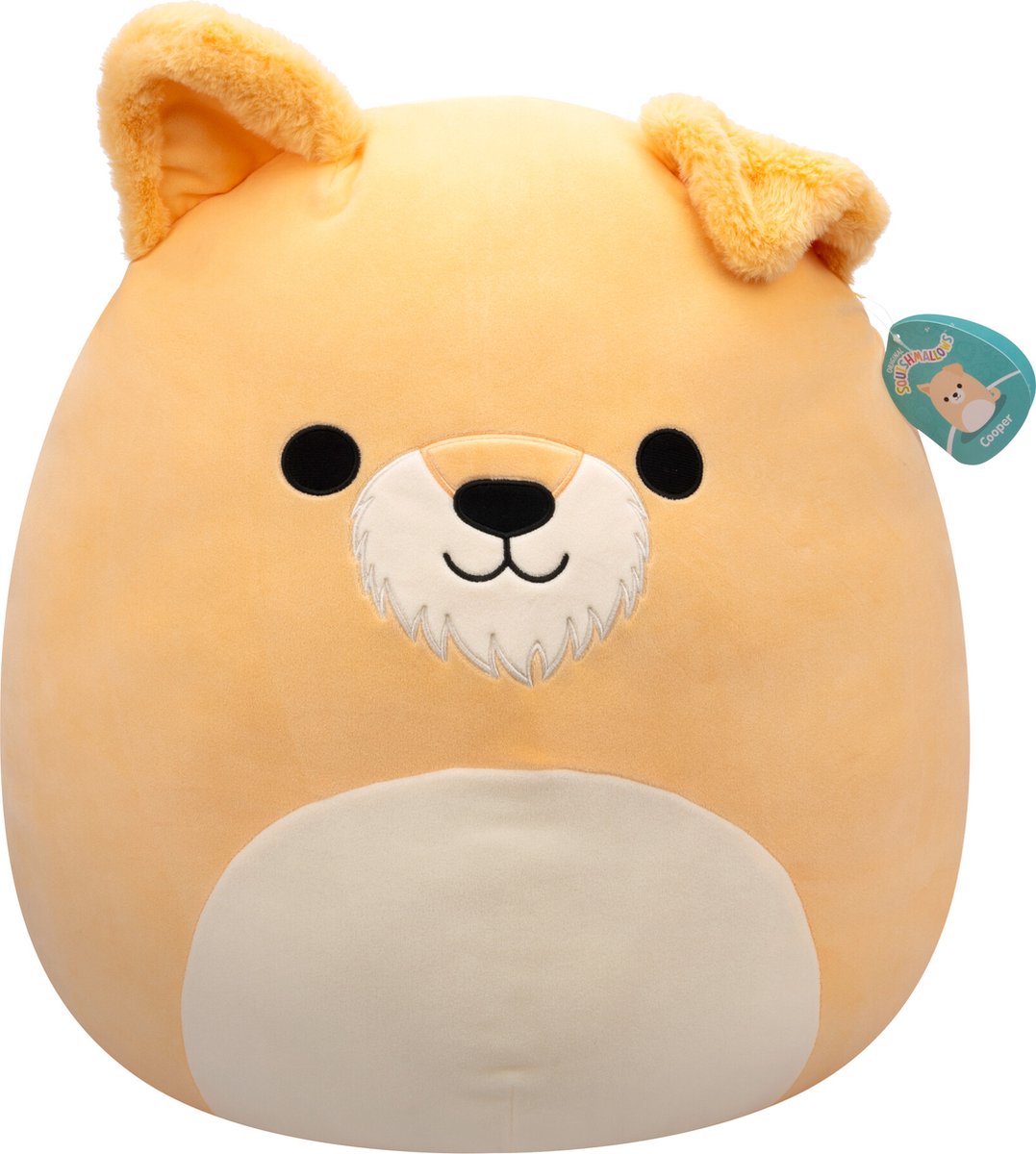 Squishmallows - Cooper - chien beige avec ventre blanc peluche 50cm
