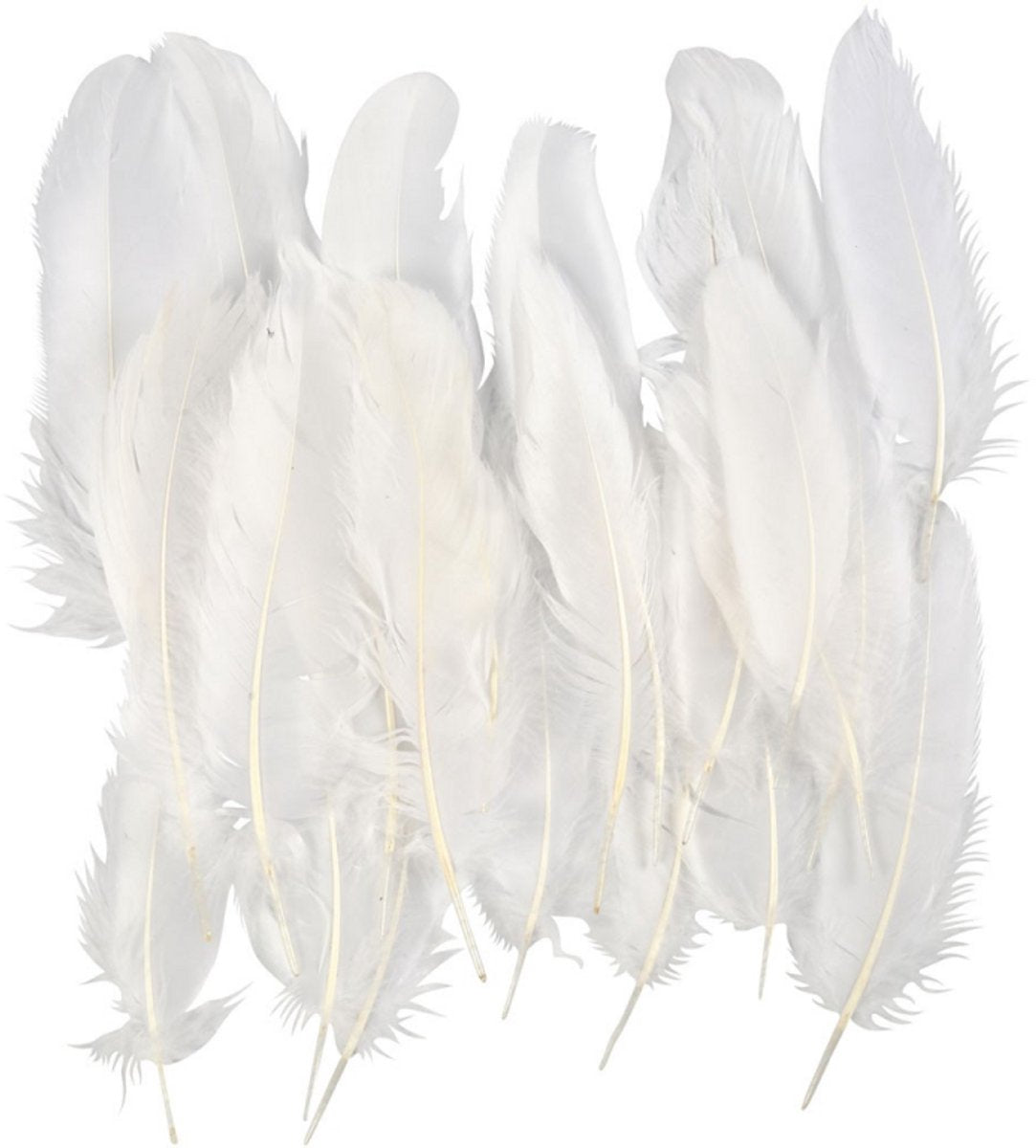 Société créative https: www.ccobby.nl plumes-taille-10-18-blanc-70-pièces-1-sac