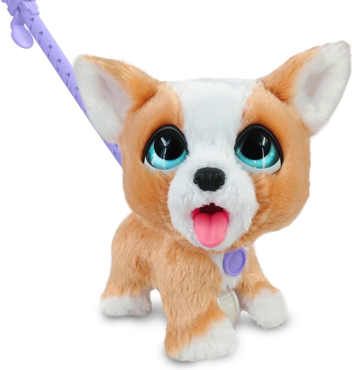 Spectron furreal caca beaucoup de corgi