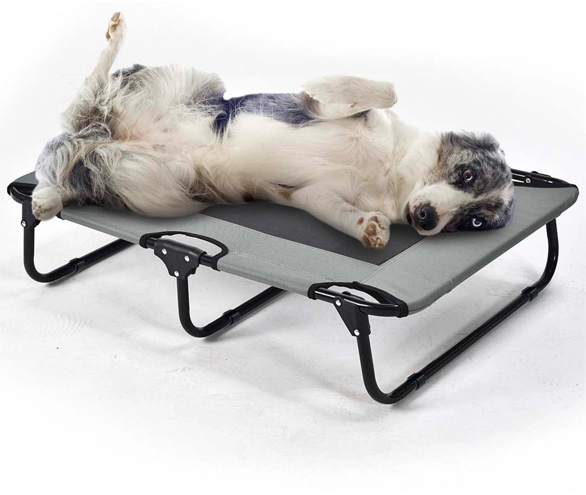 Duvo plus lit pliable pour chien relax - l