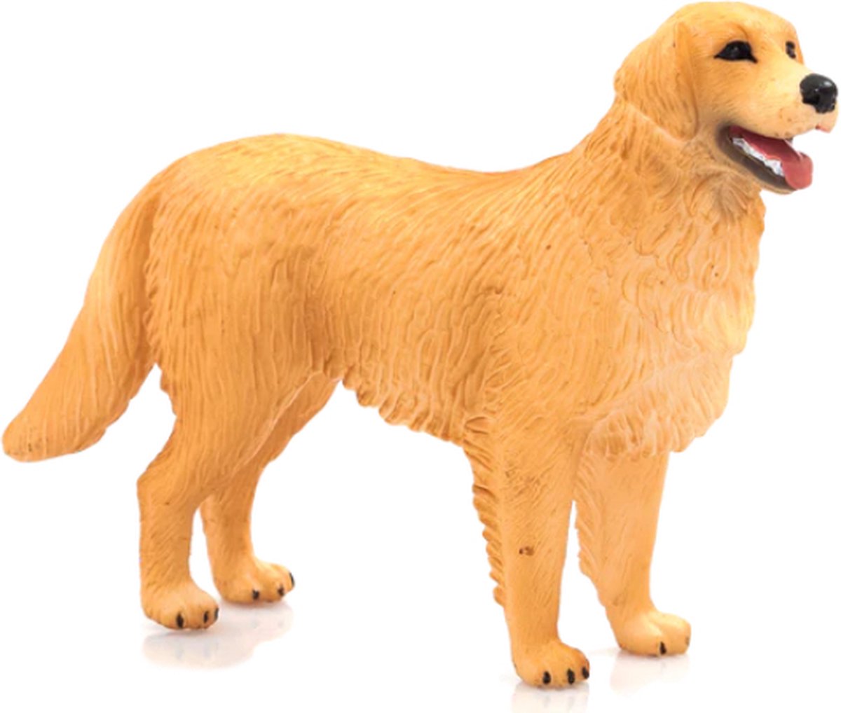 Golden retriever des terres agricoles Mojo - 387198