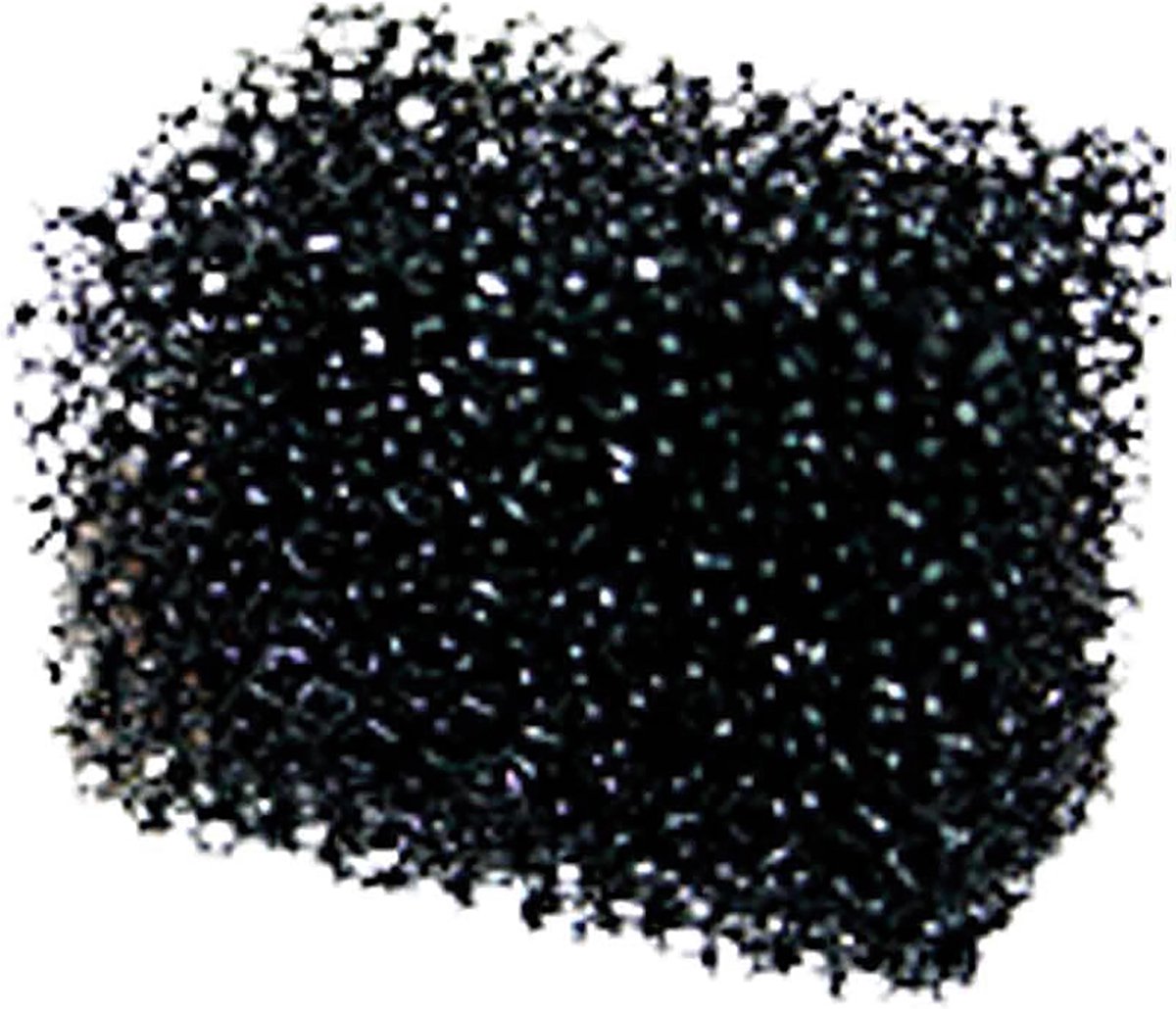 Https : www.ccobby.nl éponge de chaume-1 pièce