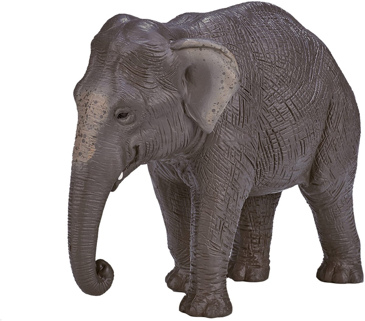 Éléphant d'Asie Mojo Wildlife - 387266