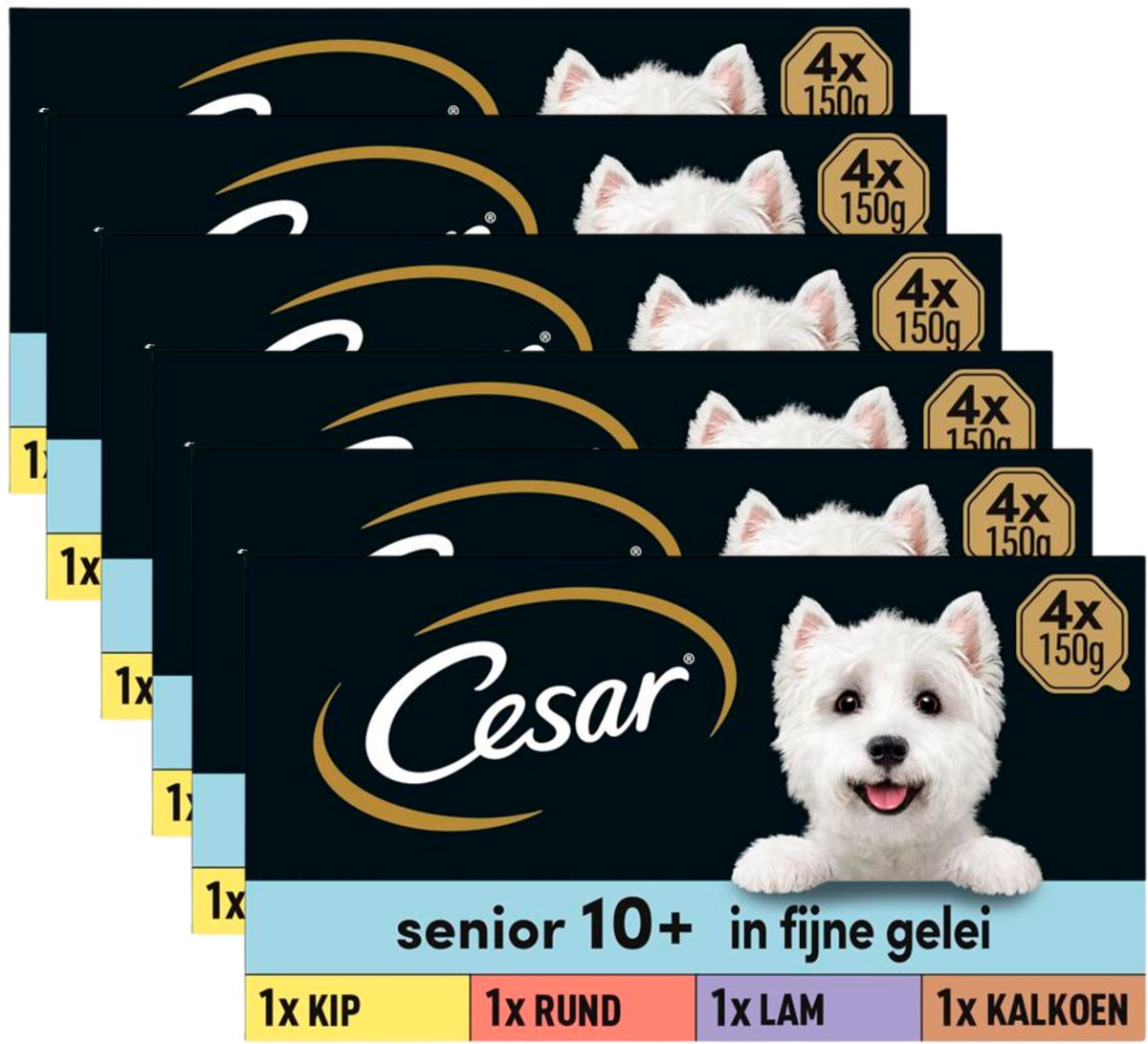 Cesar hondenvoer - senior 10+ - mix in gelei - kuipjes - 24x150g