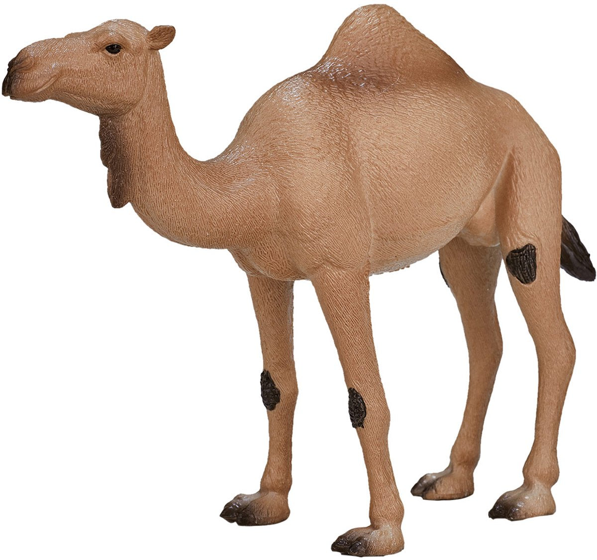 Mojo Wildlife Chameau d'Arabie - 387113