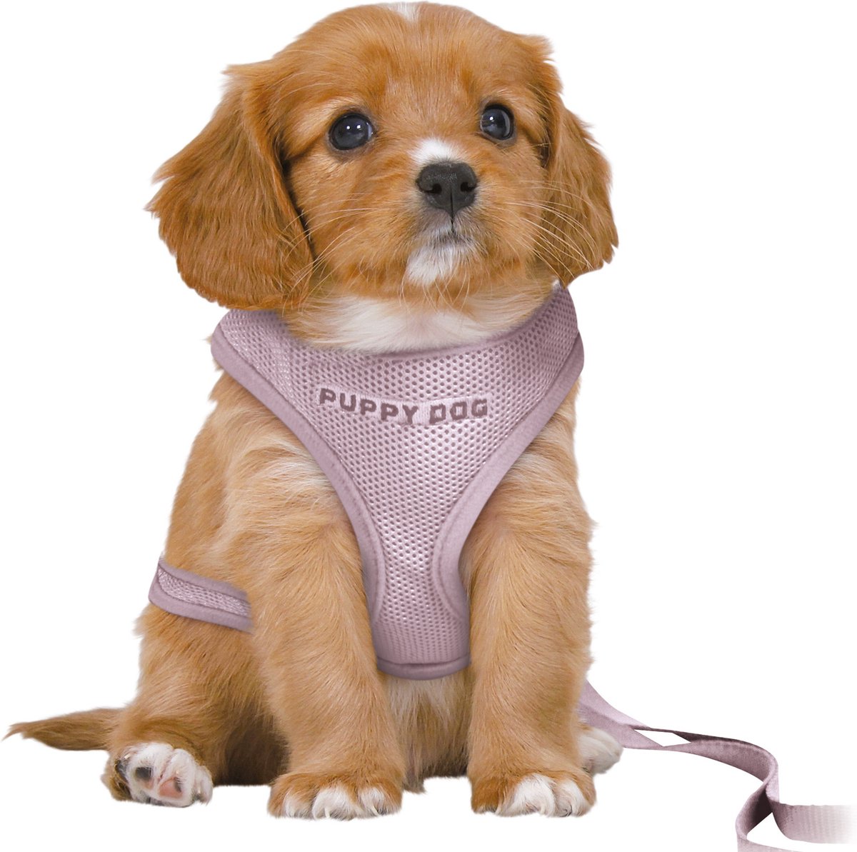 Trixie Dog Eigen Junior Puppy Softhuik with Riem Lila