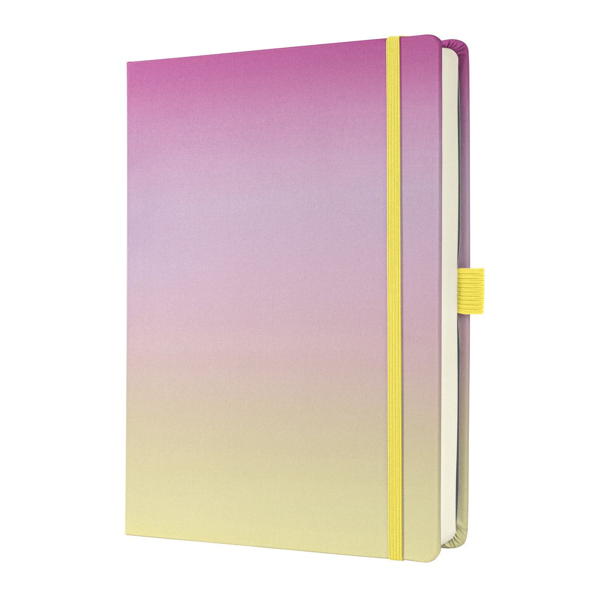 Sigel bullet journal - jolie - a5 - glace dégradée - pointillé - pointillé - couverture rigide - si-jb101