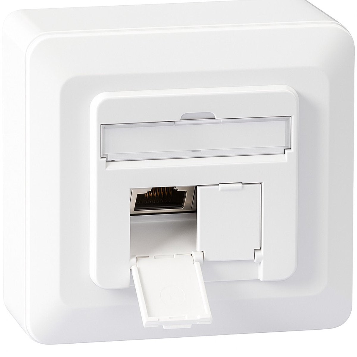 EFB Elektronik ET-25133AV5-R boîtier réseau en saillie (au mur), encastré (dans le mur) Cat 6A 2 ports blanc pur (RAL 9010)