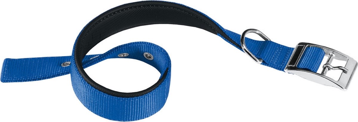Ferplast collier pour chien daytona 45 x 2,5 cm acier nylon bleu