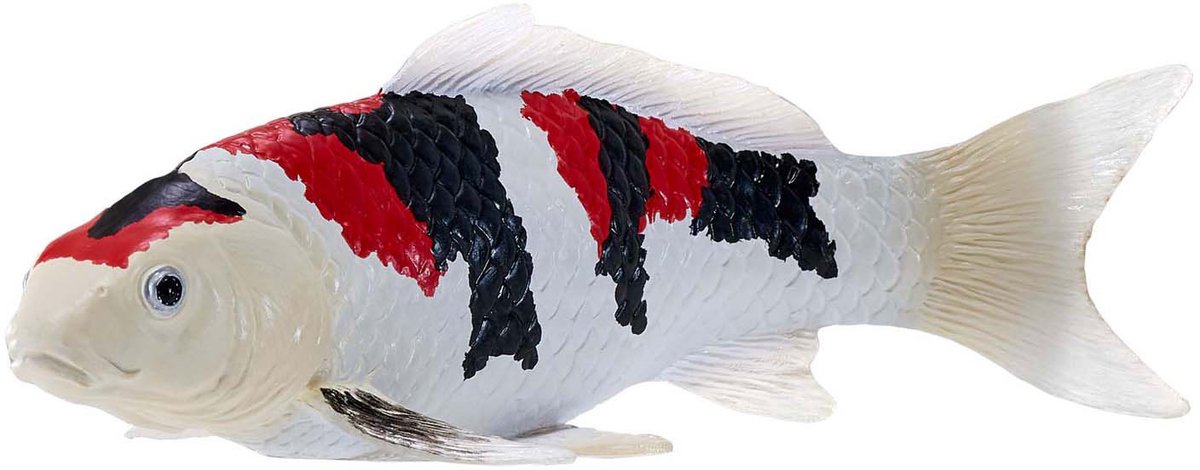 Carpe koi Mojo sealife - showa sanshoku koi - 381103