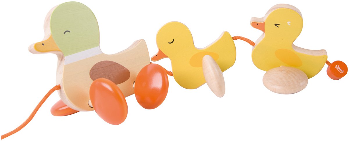 Canards à tirer en bois du monde classique