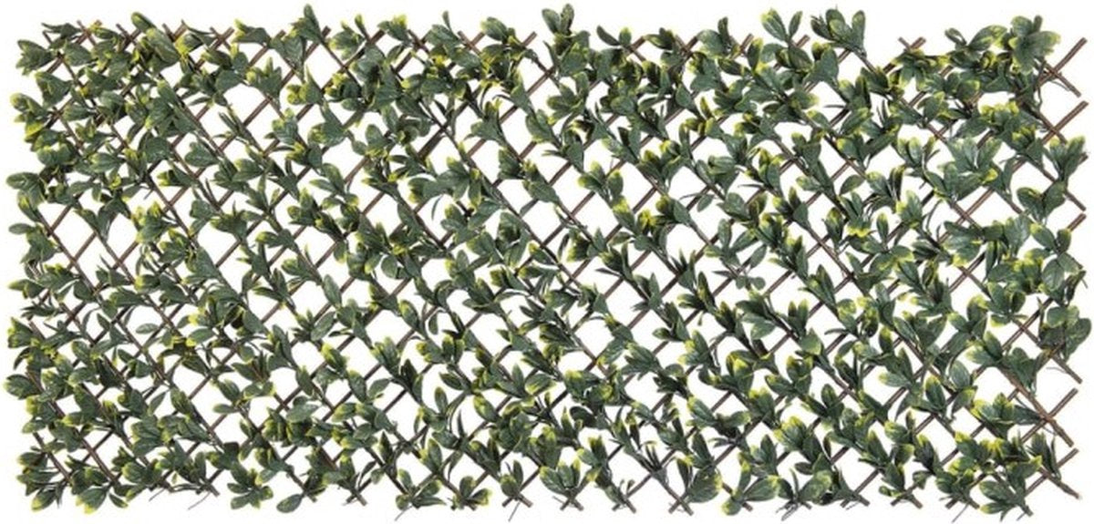 Nature Latwerk avec California Liguster Green and Yellow Blade 90x180 cm