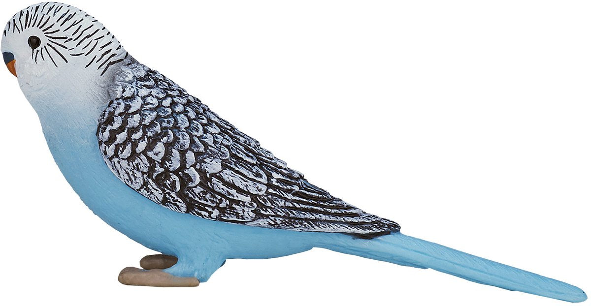 Perruche des terres agricoles Mojo bleu - 387292
