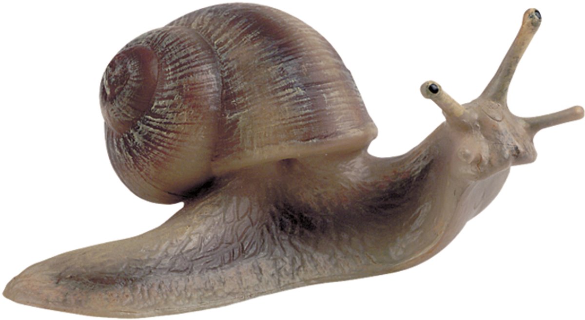Bullyland 64375 – figurine de jeu et v 64375 – figurine de jeu et figurine de collection escargot de vigne – env. 3 cm – Design réaliste et détaillé – Idéal comme figurine de jeu éducative et petit cadeau pour les enfants à partir de 3 ans.