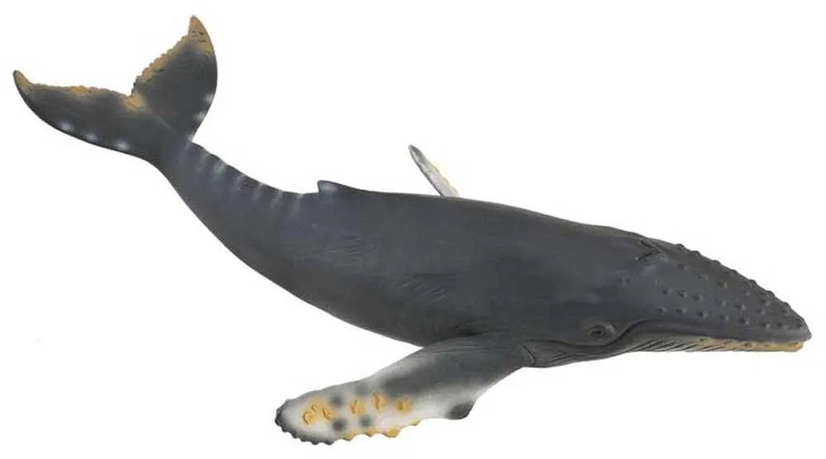 Figurine Collecta - baleine à bosse - (xl) - animaux marins - peint à la main - miniature