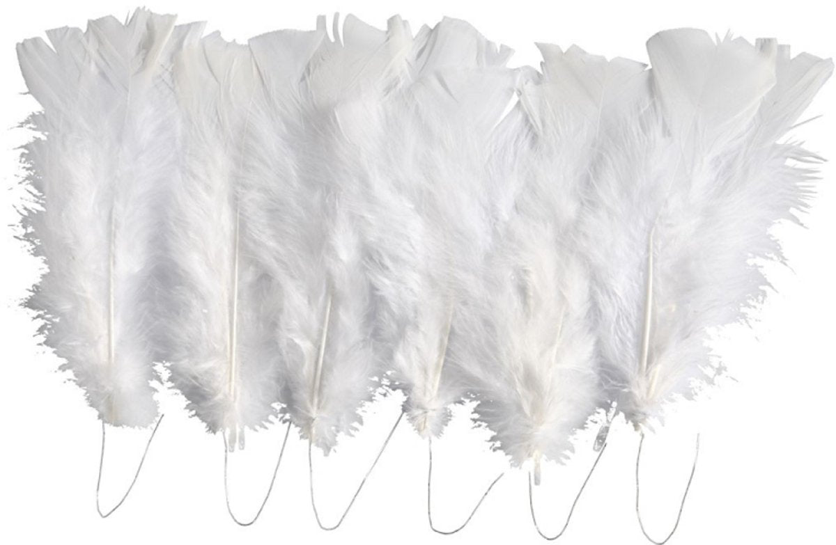 Société créative https: www.ccobby.nl plumes-size-11-17-cm-white-18-ball-1-doos