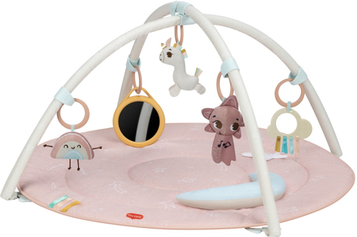 Gymini classique Tiny Love - Pays des Merveilles de la Licorne - dès la naissance