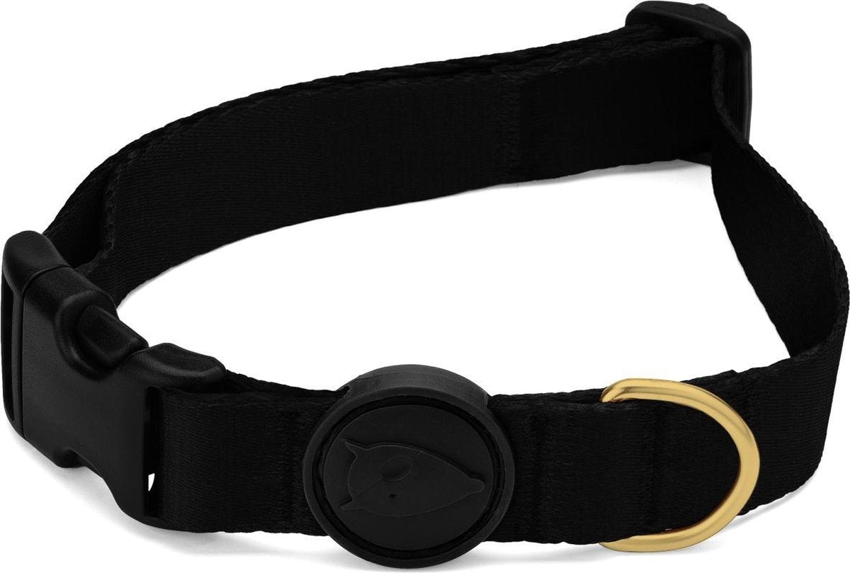 Collier pour chien Morso or recyclé caviar gold