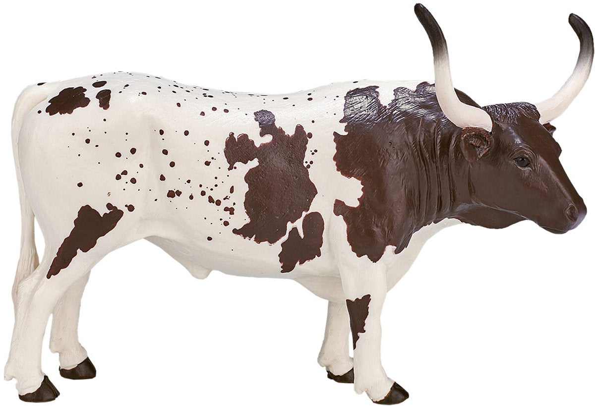 Mojo terres agricoles Texas Longhorn Bull - 387222