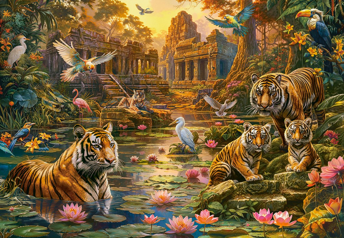 Puzzle Castorland Paradis des Tigres - Puzzle de 1000 pièces.